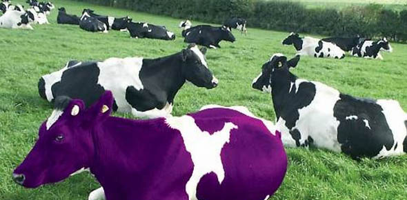 Сет Годин «Фиолетовая корова. Сделайте свой бизнес выдающимся»